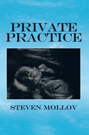 Cover of the book Private Practice by Ben Raiche