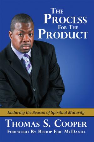 Cover of the book The Process for the Product by Frosty Wooldridge