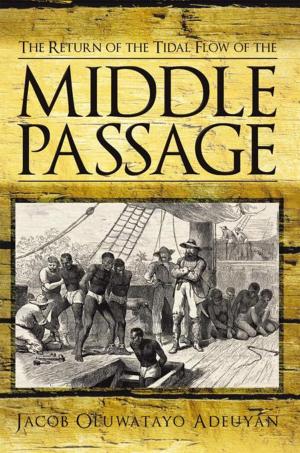 Book cover of The Return of the Tidal Flow of the Middle Passage