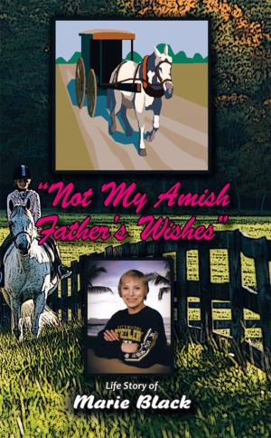 Cover of the book Not My Amish Father’S Wishes by Chad Elness