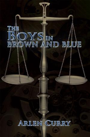 Cover of the book The Boys in Brown and Blue by Doan Helms Jr.