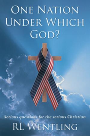 Cover of the book One Nation Under Which God? by Dr. Andrea C. Paterson