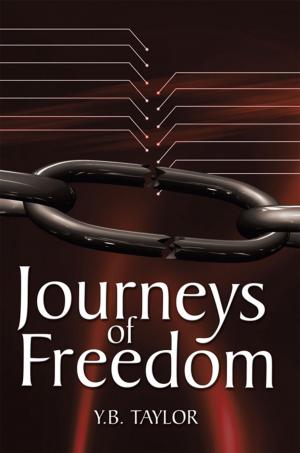 Book cover of Journeys of Freedom