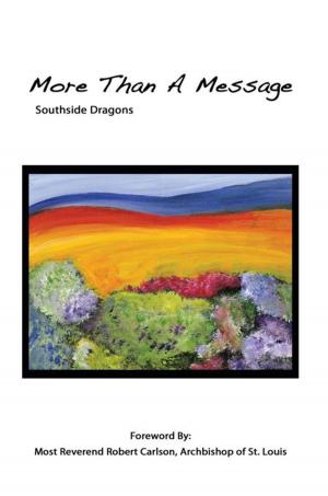Cover of the book More Than a Message by Brother Prater