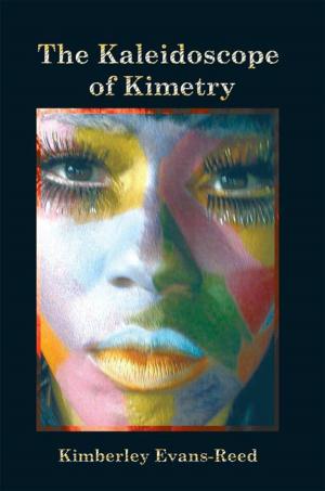 bigCover of the book The Kaleidoscope of Kimetry by 
