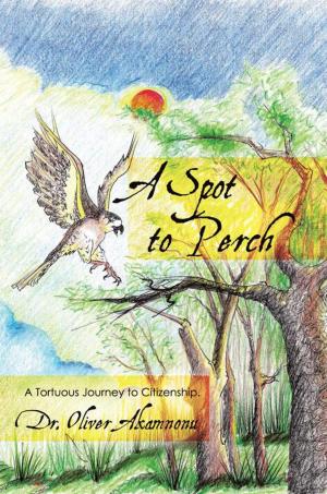 Cover of the book A Spot to Perch by Elias Rinaldo Gamboriko