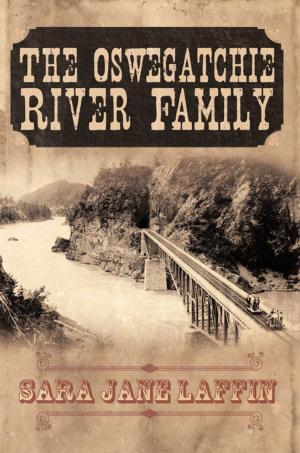 Cover of the book The Oswegatchie River Family by Alan Boye