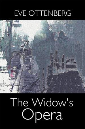 Cover of the book The Widow's Opera by Kenneth W. Cain
