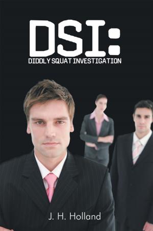 Cover of the book Dsi: Diddly Squat Investigation by Andrea Perron