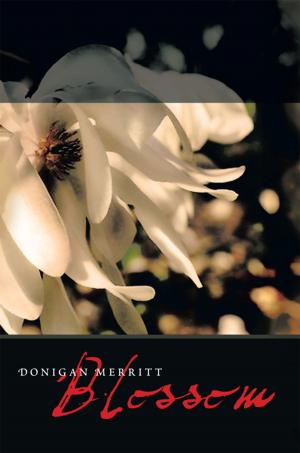 Cover of the book Blossom by Anthony Morgan-Clark