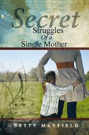 bigCover of the book Secret Struggles of a Single Mother by 