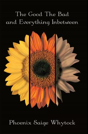 Cover of the book The Good the Bad and Everything Inbetween by Jim Strietelmeier, Debbie Strietelmeier