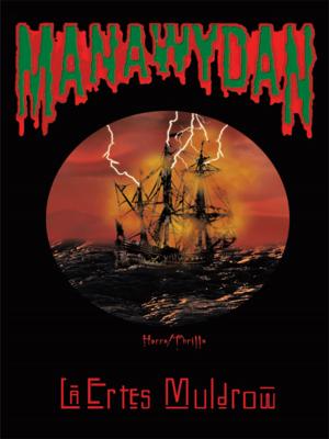 Cover of the book Manawydan by Scott Marlowe