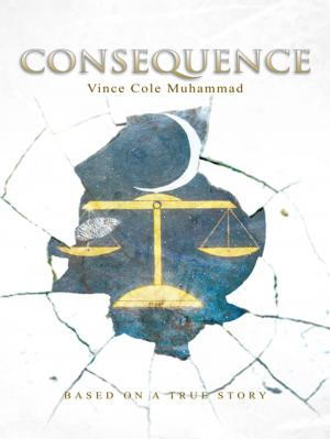 Cover of the book Consequence by Chris Foster