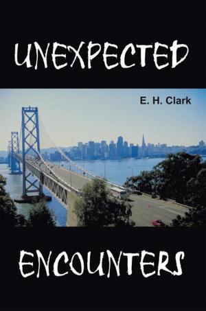 Cover of the book Unexpected Encounters by Wolf Larsen