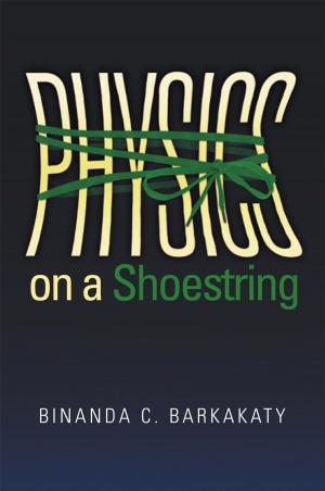 Cover of the book Physics on a Shoestring by Angel Okwuosa