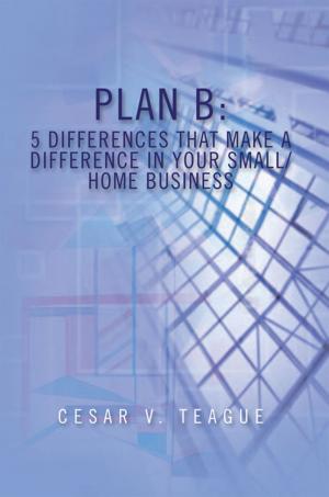 Cover of the book Plan B: 5 Differences That Make a Difference in Your Small/Home Business by Omillio