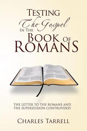 Cover of the book Testing the Gospel in the Book of Romans by 