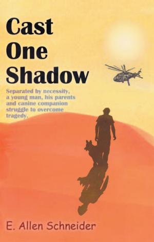 Cover of the book Cast One Shadow by Denise Cash