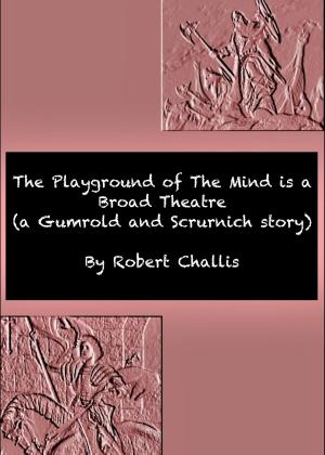Cover of The Playground of The Mind is a Broad Theatre by Robert Challis, Robert Challis