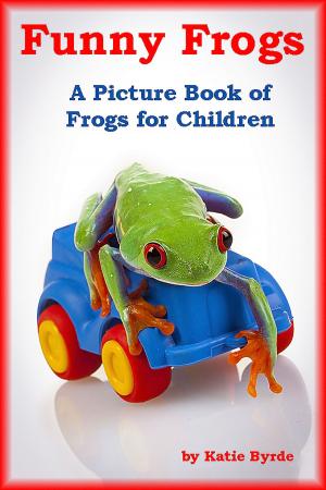 Cover of the book Funny Frogs by Katie Byrde