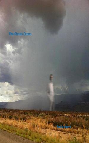 Cover of the book The Ghosts Caress by David Mamet