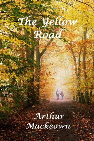 Book cover of The Yellow Road