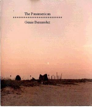 bigCover of the book The Panmerican by 