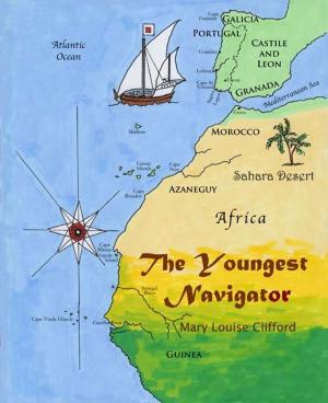 Cover of the book The Youngest Navigator by Virginia Farmer