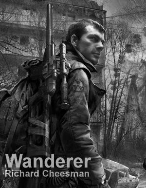 Cover of the book Wanderer by Kevin J. McArthur