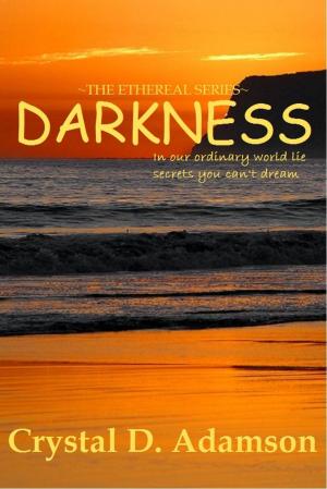Cover of Darkness (The Ethereal Series ~ Book One)