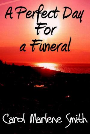 Book cover of A Perfect Day For a Funeral