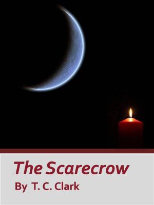 Cover of the book The Scarecrow by Alan Hight