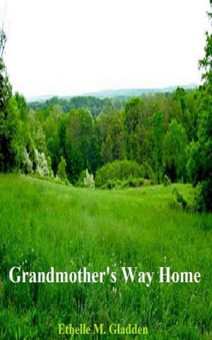 Cover of Grandmother's Way Home