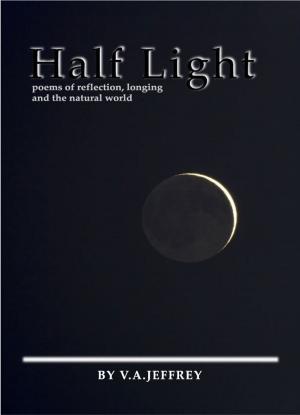 Cover of the book Half Light by Karen Truesdell Riehl