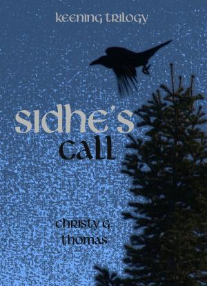 Cover of the book Sidhe's Call by Jerry Hanel