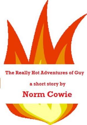 Book cover of The Really Hot Adventures of Guy