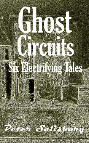 Cover of the book Ghost Circuits by K.M. Robinson