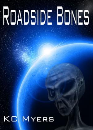 Cover of the book Roadside Bones by Elizabeth Jewell