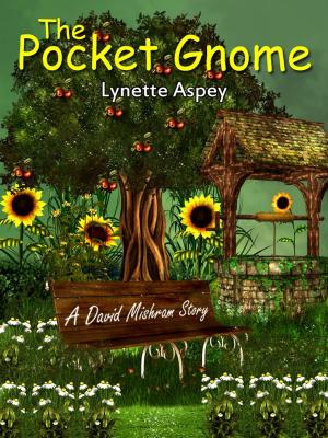 bigCover of the book The Pocket Gnome by 