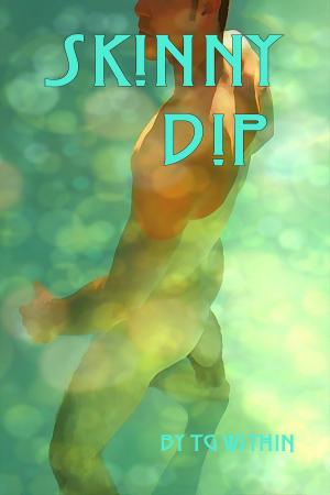 Book cover of Skinny Dip