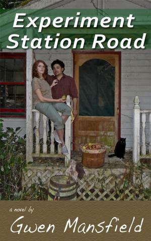 Cover of the book Experiment Station Road by Kristen Kehoe