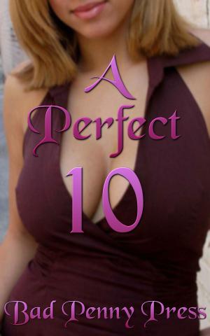 bigCover of the book A Perfect 10 by 