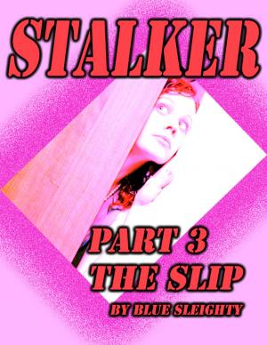 Cover of the book STALKER: Part 3 - The Slip by Blue Sleighty