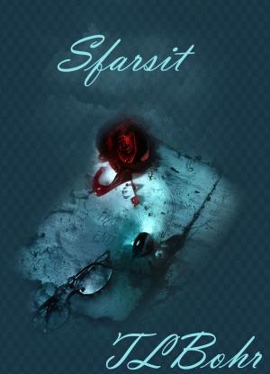 Book cover of Sfarsit