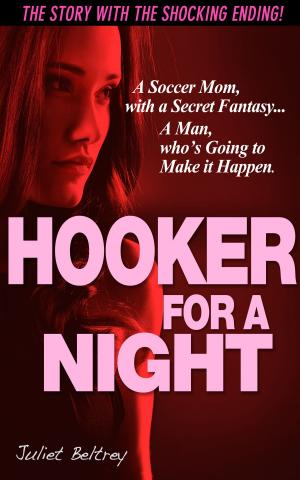 Book cover of Hooker for a Night