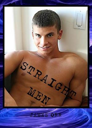 Cover of the book Straight Men by Charlie M.