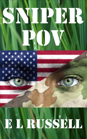 Book cover of Sniper: POV