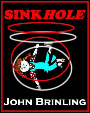 Cover of the book Sinkhole: A Short Story by Neil P. Allen