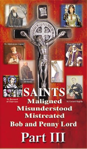 Cover of the book Saints Maligned Misunderstood and Mistreated Part III by Bob Lord, Penny Lord